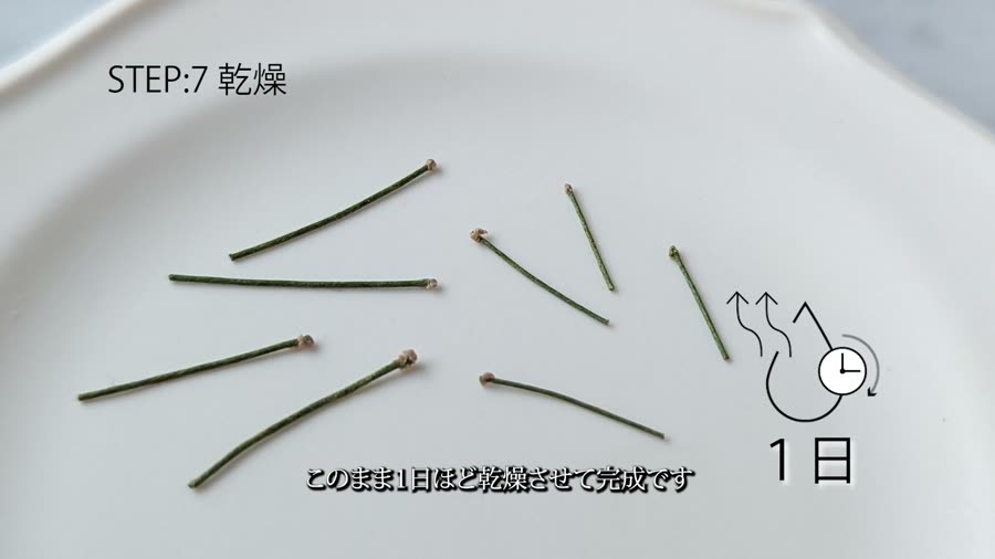 ワイヤーの先に茶色いポッチをつけた茎